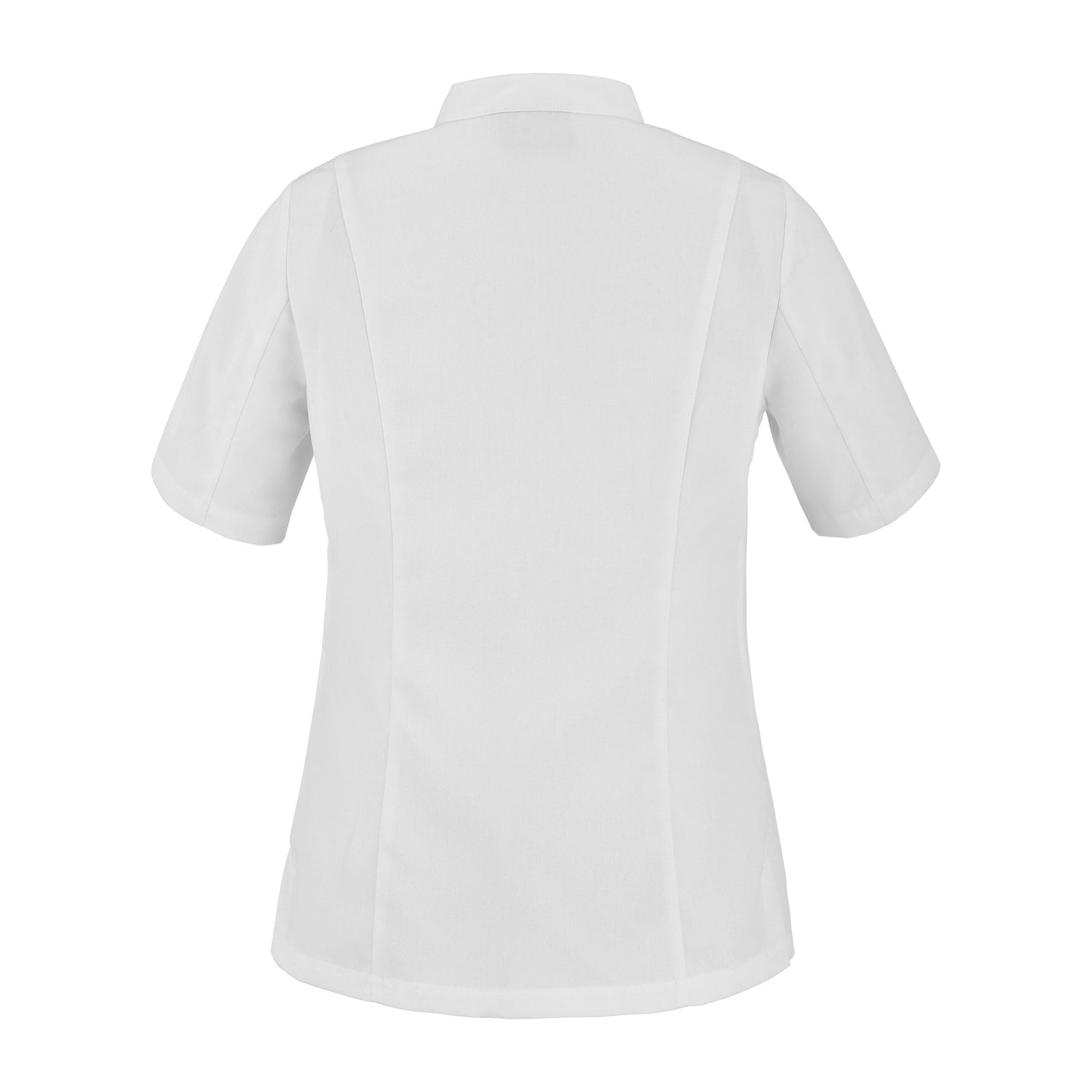 Back view of the CRISTAL short sleeve chef jacket in white
